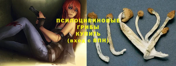 ГАЛЛЮЦИНОГЕННЫЕ ГРИБЫ Лиски
