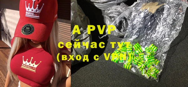 прущие грибы Горнозаводск