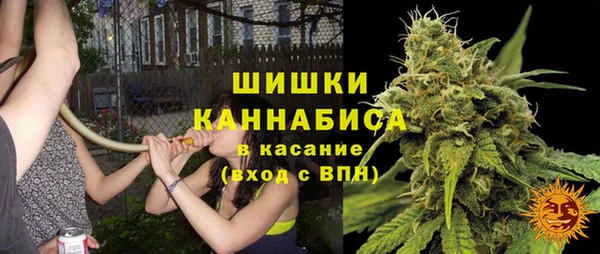 прущие грибы Горнозаводск
