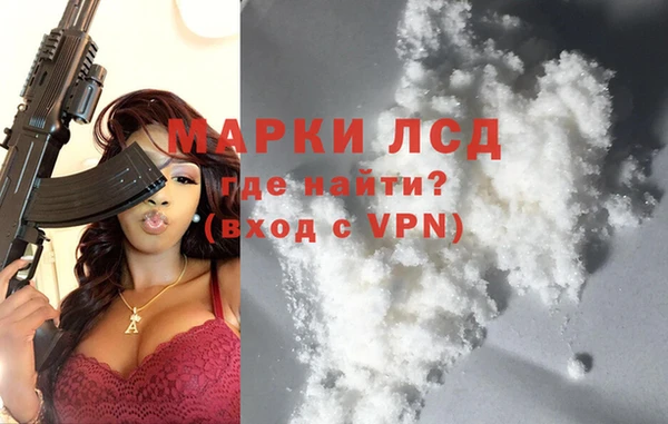 прущие грибы Горнозаводск