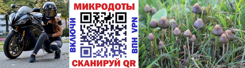 Галлюциногенные грибы мицелий  как найти   Жиздра 